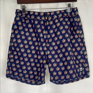 Tom and Teddy Swim Trunks Bathing Suit Surfboards Lined Sz M